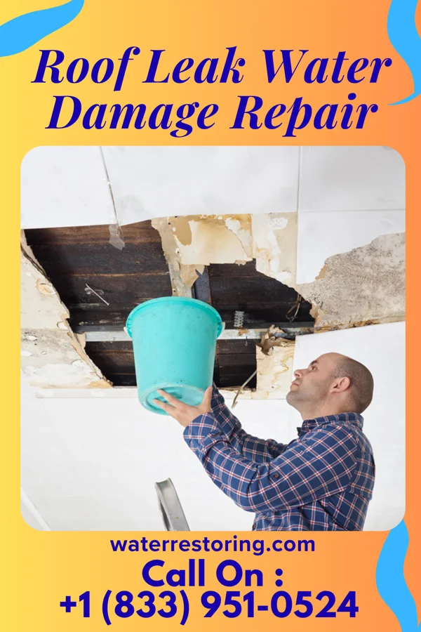 Roof Leak Water Damage Repair in Fort Seneca, OH