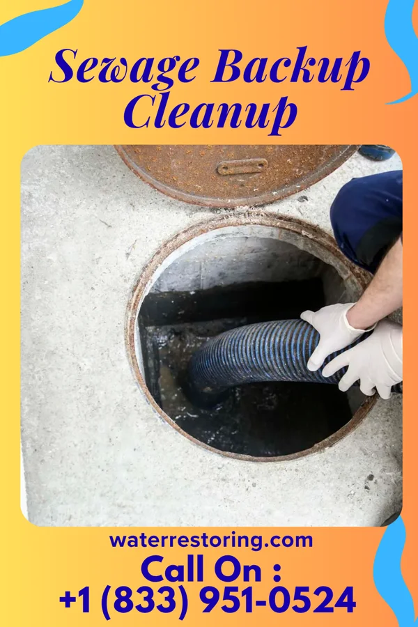 Sewage Backup Cleanup in Fort Seneca, OH