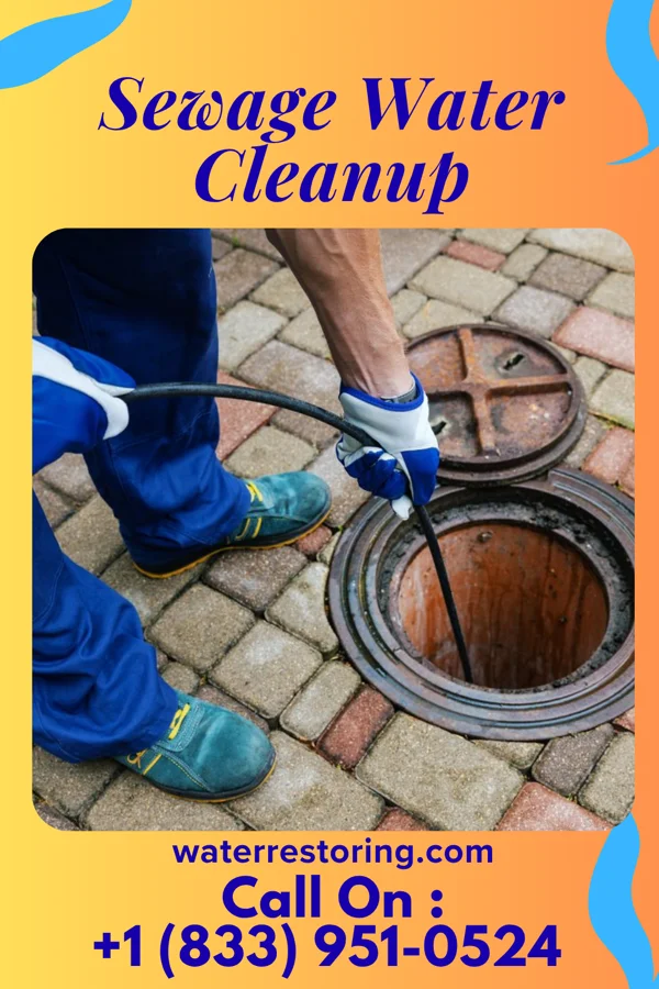 Sewage Water Cleanup in Fort Seneca, OH
