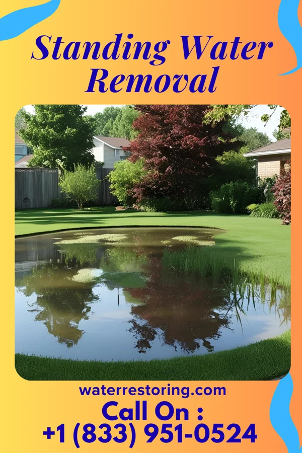 Standing Water Removal in Fort Seneca, OH